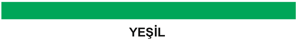 YESİL RENK RAŞEL